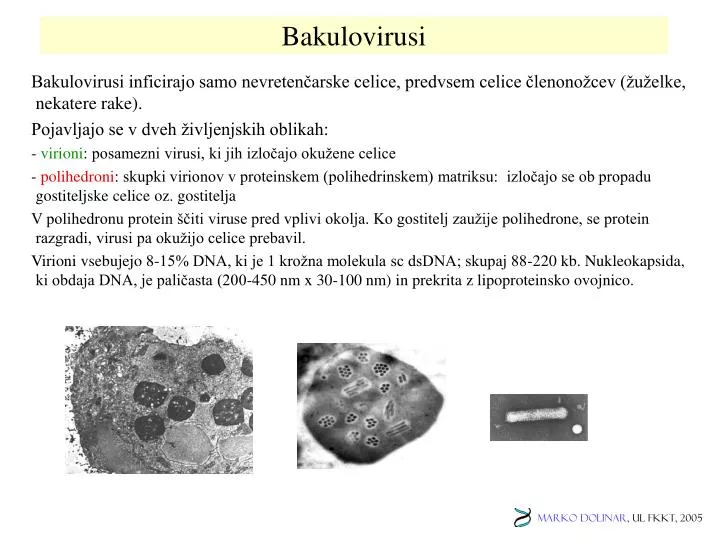 bakulovirusi