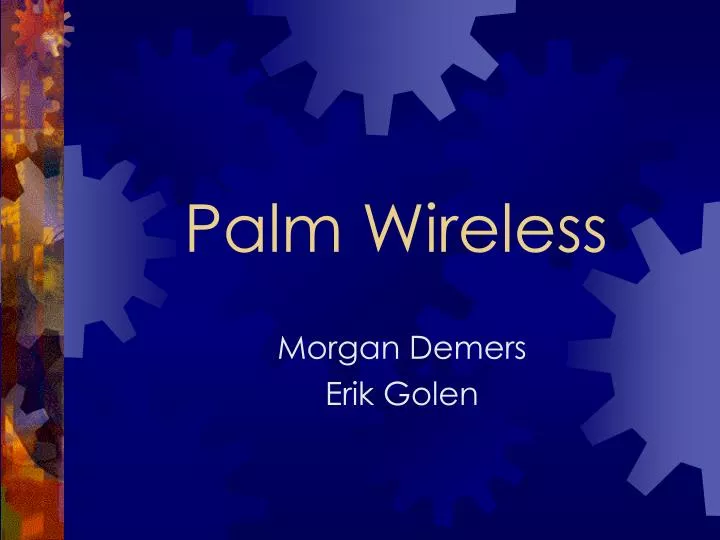 palm wireless