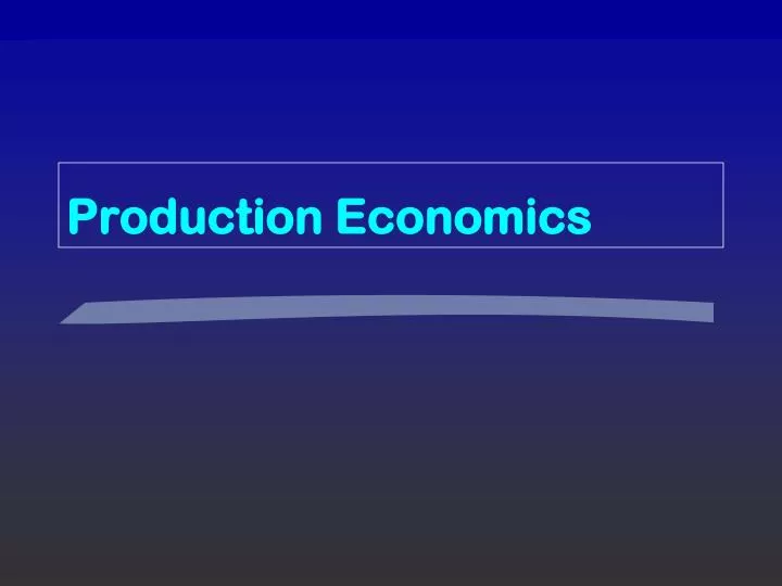 production economics