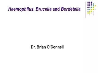 Haemophilus , Brucella and Bordetella