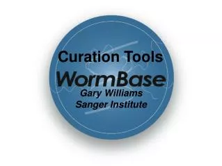 Curation Tools