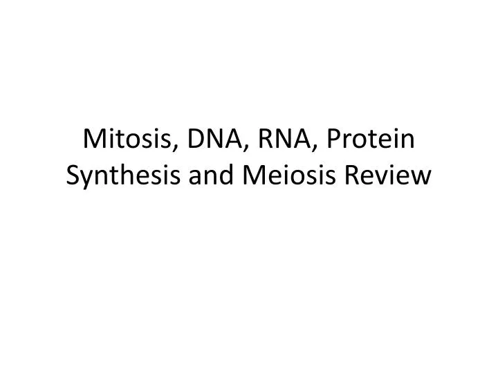 mitosis dna rna protein synthesis and meiosis review