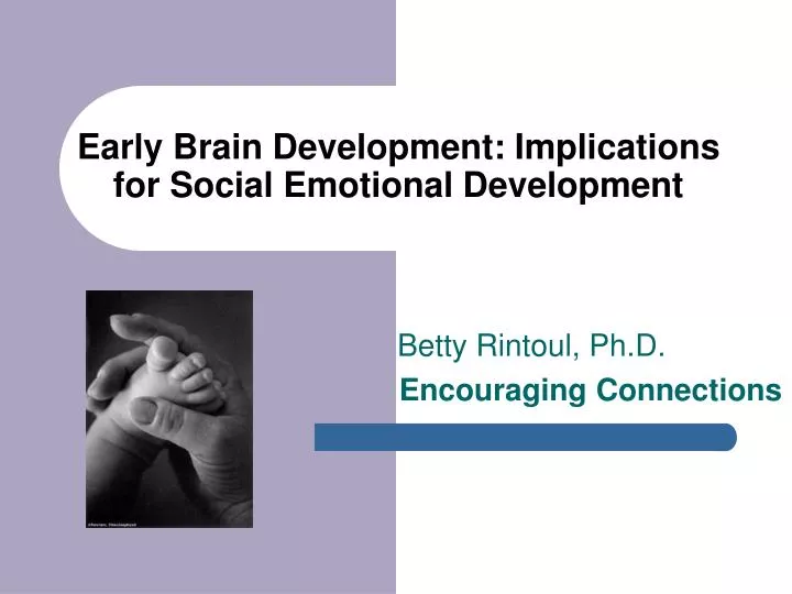 early brain development implications for social emotional development