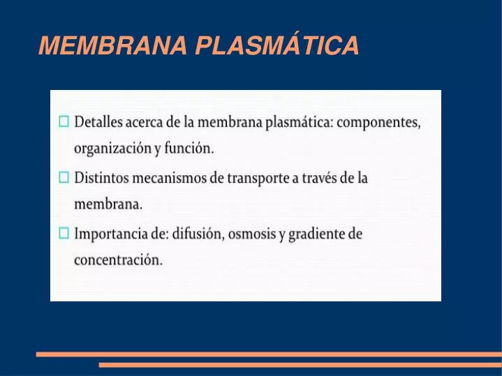 membrana plasm tica