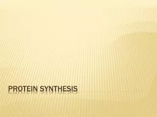 protein synthesis