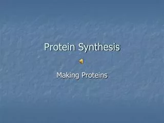 Protein Synthesis