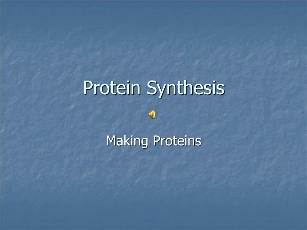 PPT - Protein Synthesis PowerPoint Presentation, free download - ID:5709993