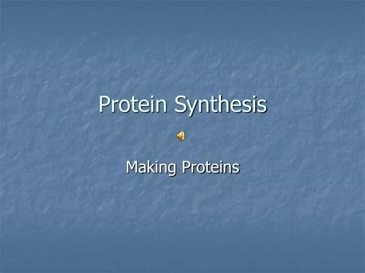 protein synthesis