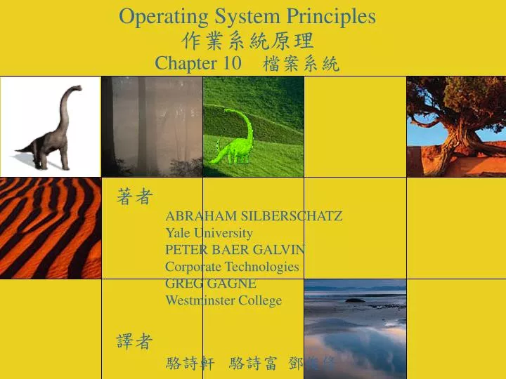 operating system principles chapter 10