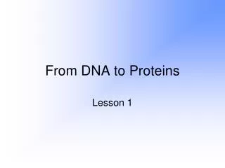 from dna to proteins