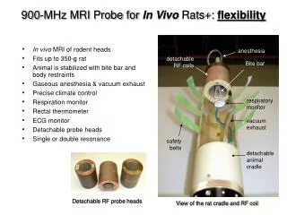 View of the rat cradle and RF coil