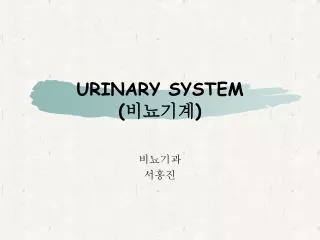 urinary system