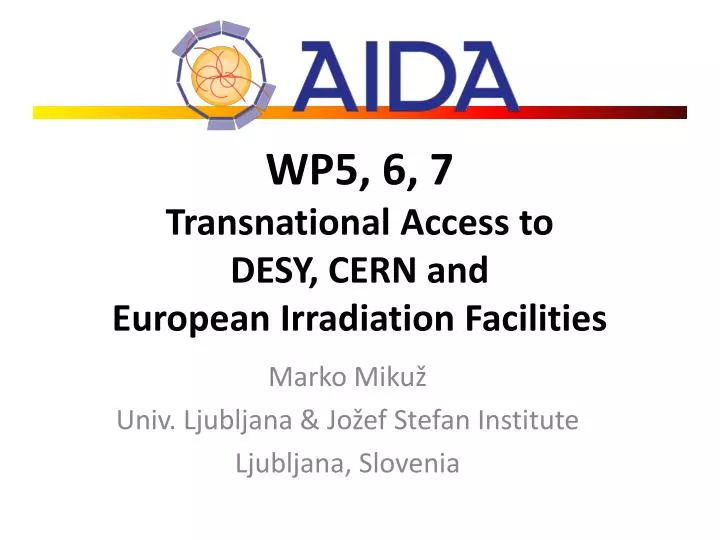 wp5 6 7 transnational access to desy cern and european irradiation facilities
