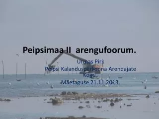 peipsimaa ii arengufoorum