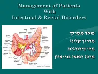 management of patients with intestinal rectal disorders