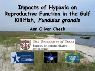 Impacts of Hypoxia on Reproductive Function in the Gulf Killifish, Fundulus grandis