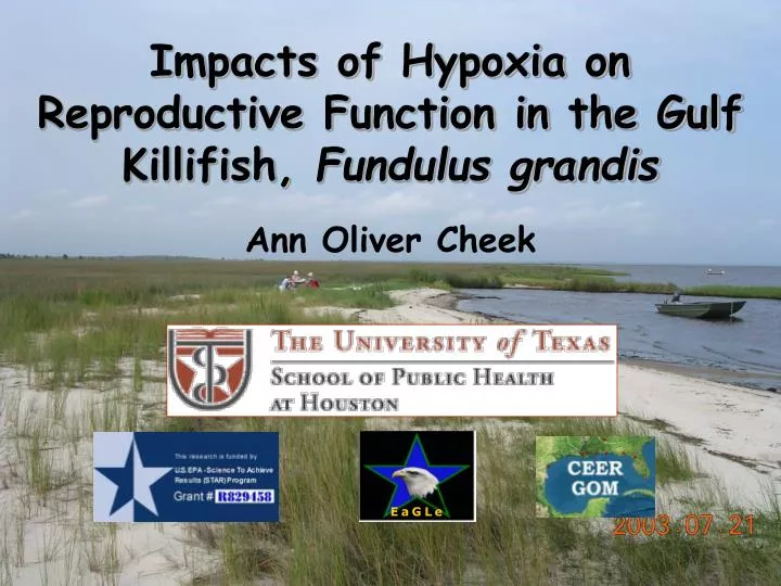 impacts of hypoxia on reproductive function in the gulf killifish fundulus grandis