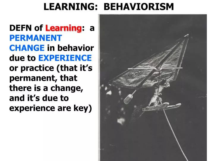 learning behaviorism