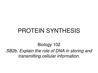 PROTEIN SYNTHESIS