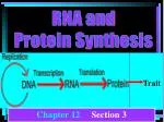 Trait - slide 1