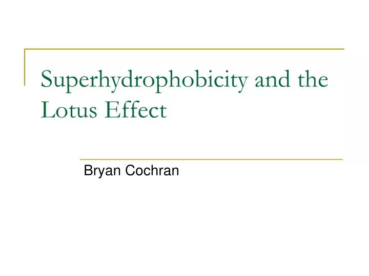 superhydrophobicity and the lotus effect