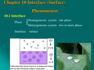 Chapter 10 Interface (Surface) Phenomenon