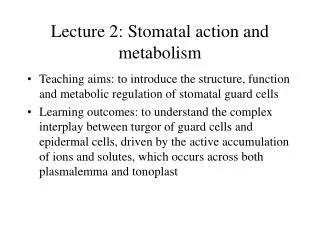 Lecture 2: Stomatal action and metabolism