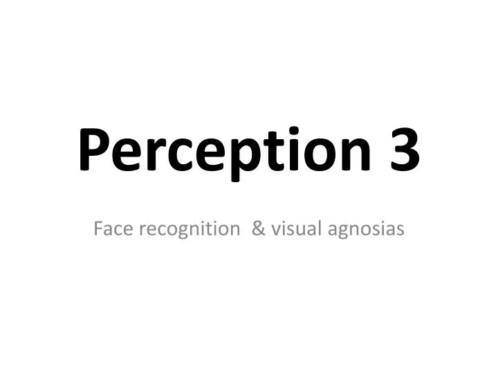 perception 3