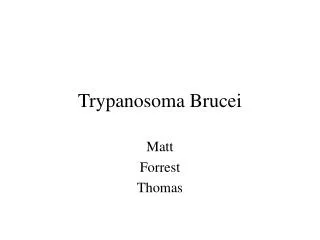 Trypanosoma Brucei