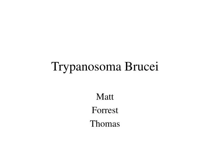 trypanosoma brucei