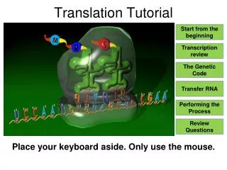 translation tutorial