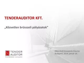 tenderauditor kft