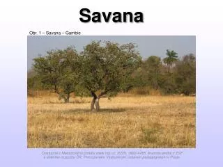 savana