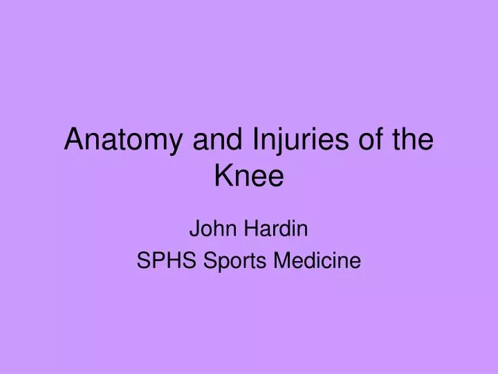anatomy and injuries of the knee