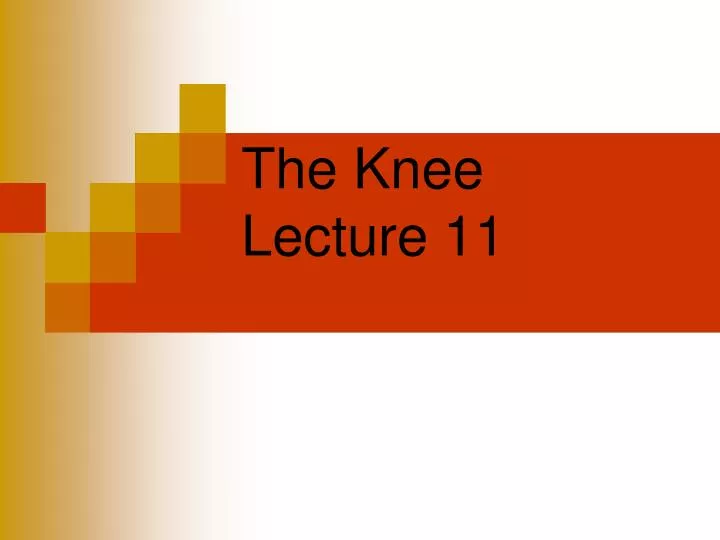 the knee lecture 11