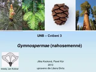 unb cvi en 3