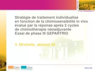 v minckwitz abstract 42