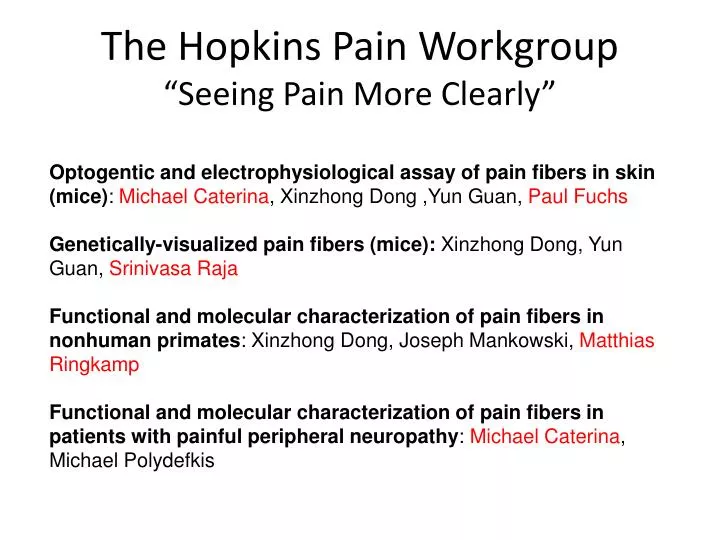 the hopkins pain workgroup seeing pain more clearly