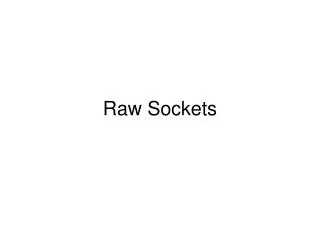 Raw Sockets