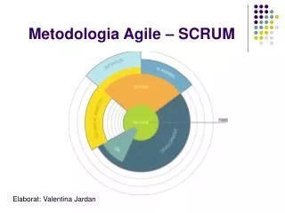 elaborat valentina jardan
