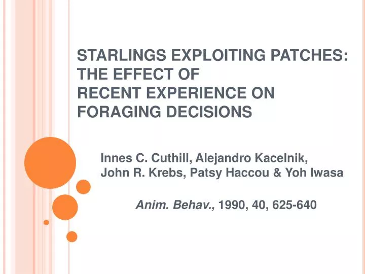 starlings exploiting patches the effect of recent experience on foraging decisions
