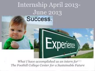 Internship April 2013-June 2013