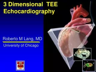 3 Dimensional TEE Echocardiography