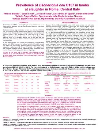 Prevalence of Escherichia coli O157 in lambs at slaughter in Rome, Central Italy