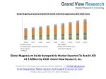 Magnesium Oxide Nanoparticle Market Share to 2020 - slide 1