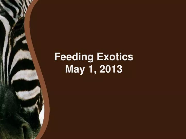 feeding exotics may 1 2013