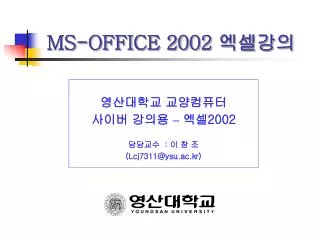 ms office 2002