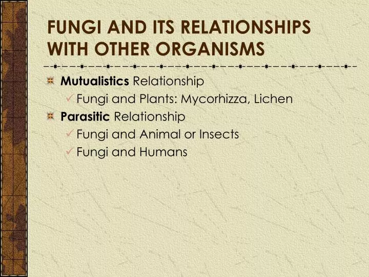 fungi and its relationships with other organisms