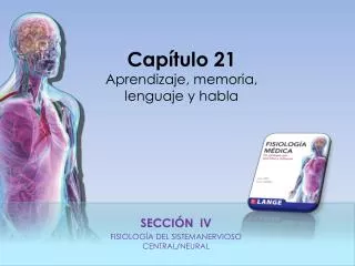 secci n iv fisiolog a del sistemanervioso central neural