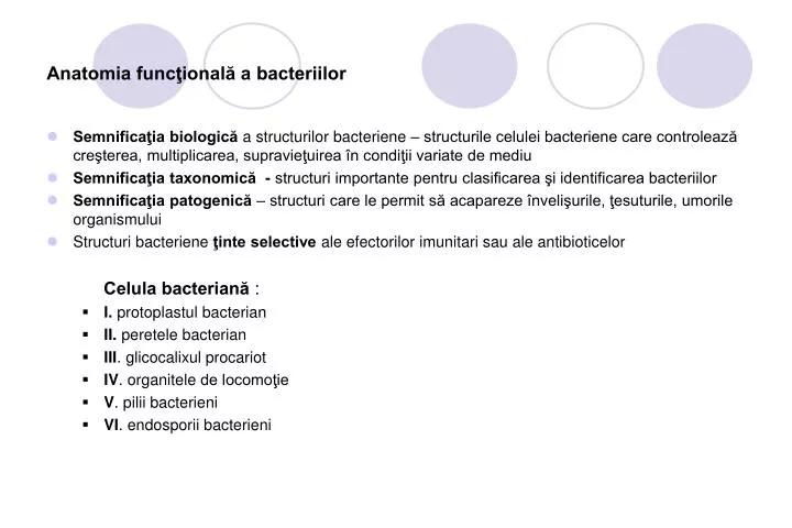 anatomia func ional a bacteriilor